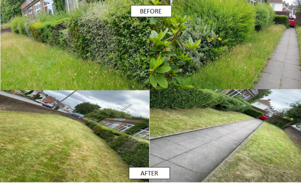 Gardener: Image 1